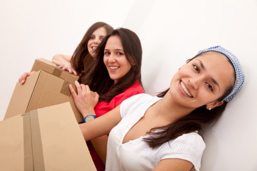 Practical man with van service for moving items in Brent